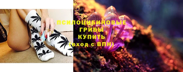 прущая мука Вязники