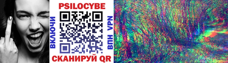 Галлюциногенные грибы Psilocybine cubensis  Купить  Собинка 